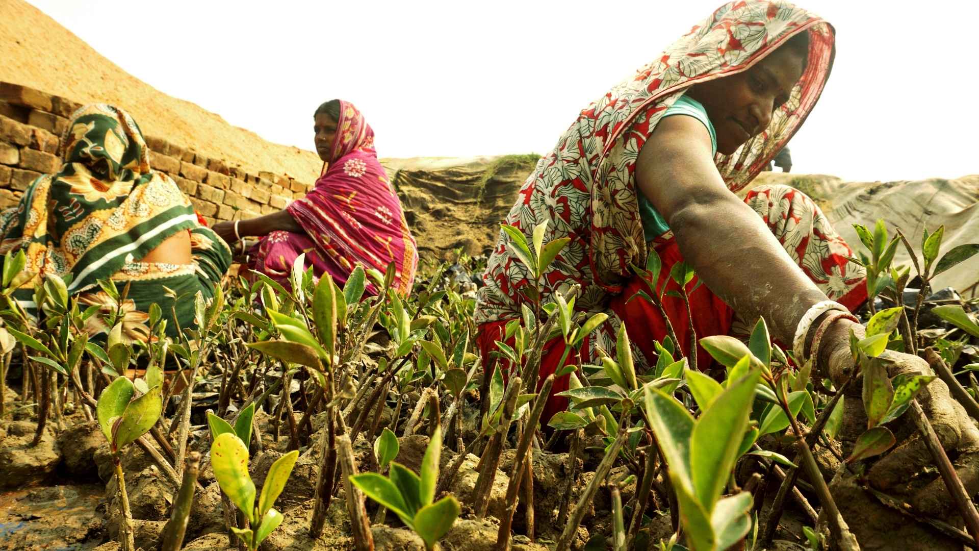 South Asian Climate Stories Our Programs: South Asian Climate Stories